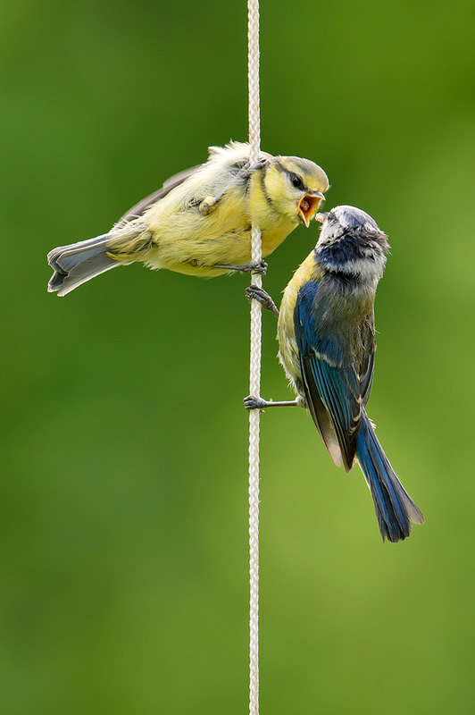 Mesmerizing Nature Photography by Luuk Belgers