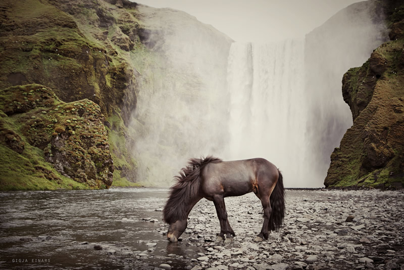 Gigja Einarsdottir is from Iceland and she loves to shoot horses in the most unbelievable way you will see