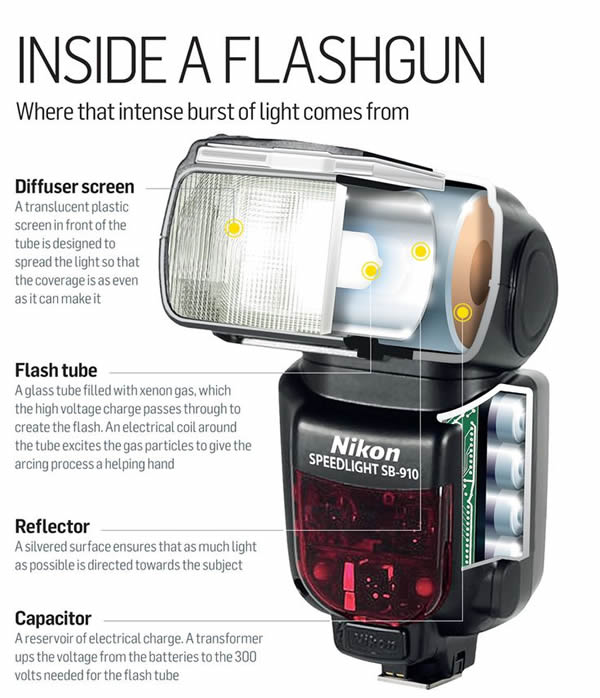 Inside A Flash Gun