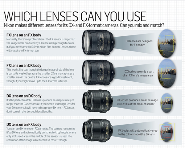 Which Lenses can you use
