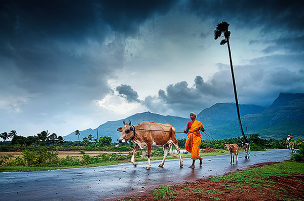 50 Extraordinary Photographs that can happen only in India