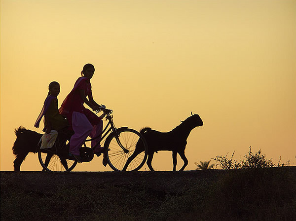 50 Extraordinary Photographs that can happen only in India