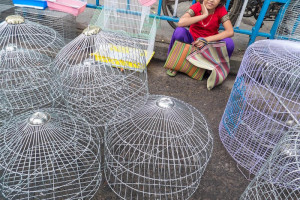 Galiff Street Pet Market, Kolkata - Photo Essay by Soumya Shankar