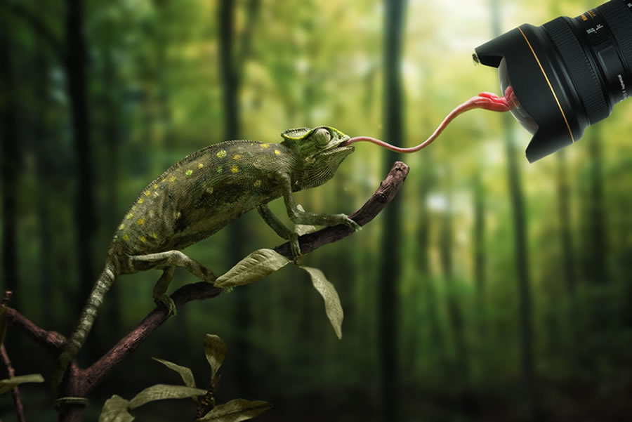 John Wilhelm is a Photoshop geek and shows why his ideas are always super awesome