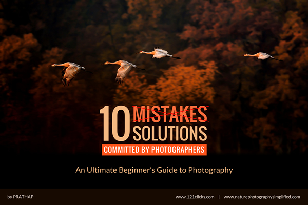 10 Mistakes & Solutions - An Ultimate Beginner's Guide to Photography