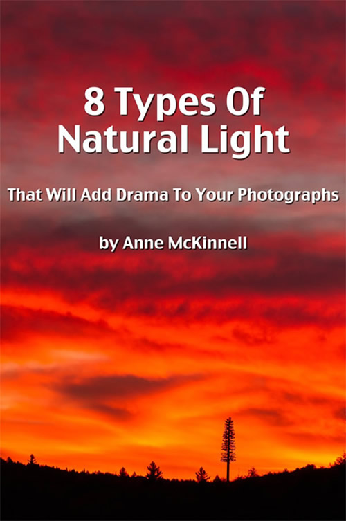 8 Types Of Natural Light That Will Add Drama To Your Photographs