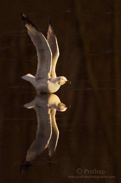 Photography Composition Technique #3: Symmetry