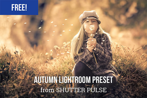 Autumn Lightroom Preset