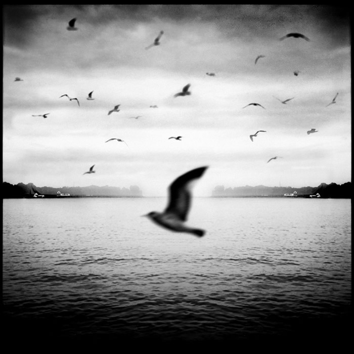 Black And White Fine Art Photography By Nanne Springer