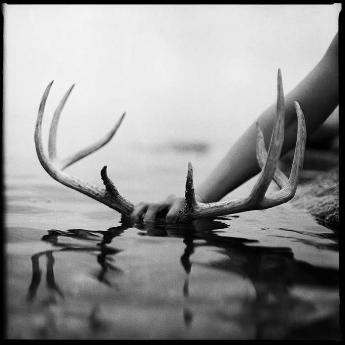 Black And White Fine Art Photography By Nanne Springer