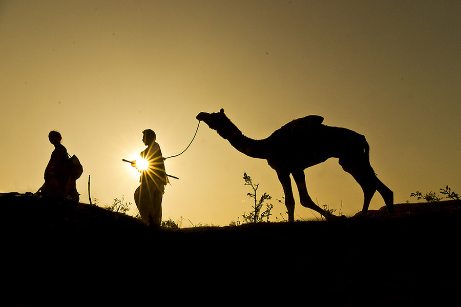 Incredible Photos of Indian Photographer Rajagopalan Sarangapani