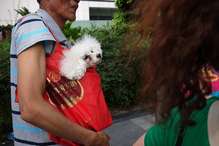 Michal Pachniewski - Passionate Street Photographer from Poland