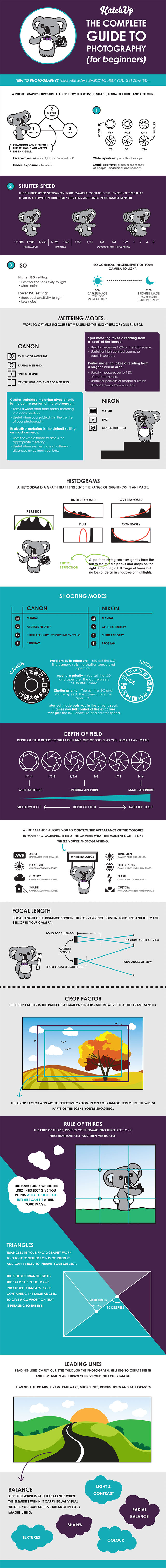 The Complete Guide To Photography - Useful Infographic For Beginners