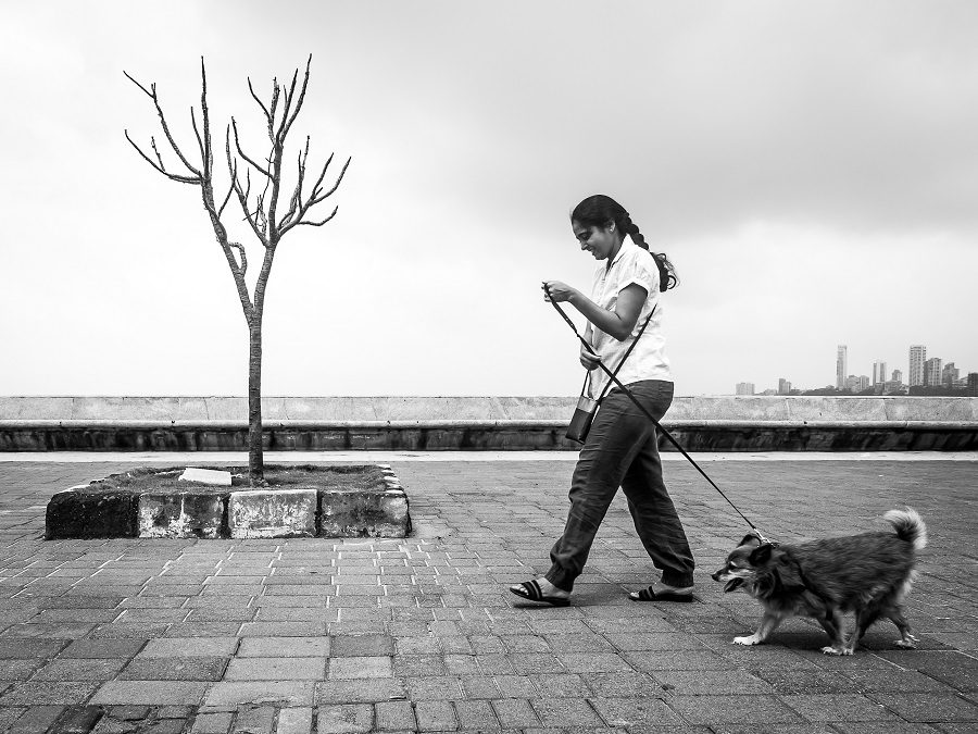 Dog Story - Photo Series By Indian Photographer Neenad Arul
