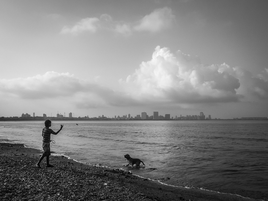 Dog Story - Photo Series By Indian Photographer Neenad Arul