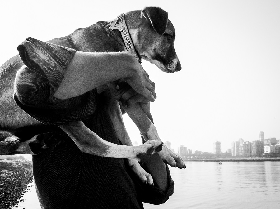 Dog Story - Photo Series By Indian Photographer Neenad Arul