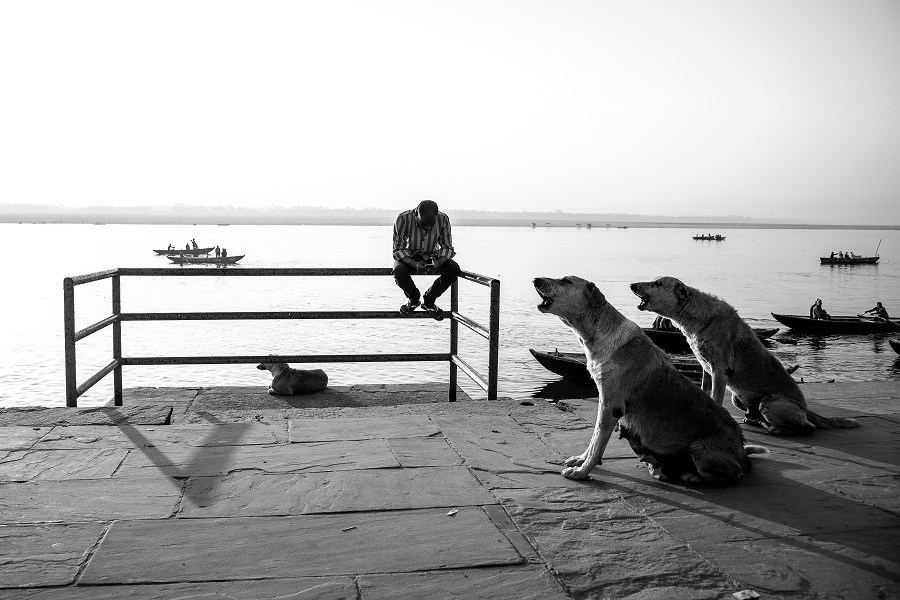 Dog Story - Photo Series By Indian Photographer Neenad Arul