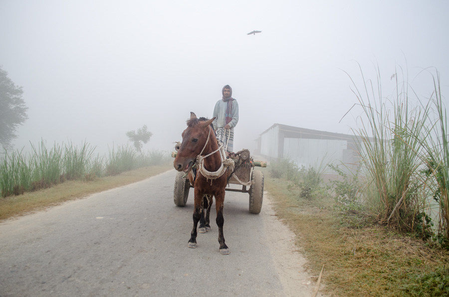 Riverine - Photo Story By Bangladesh Photographer Tariq Adnan