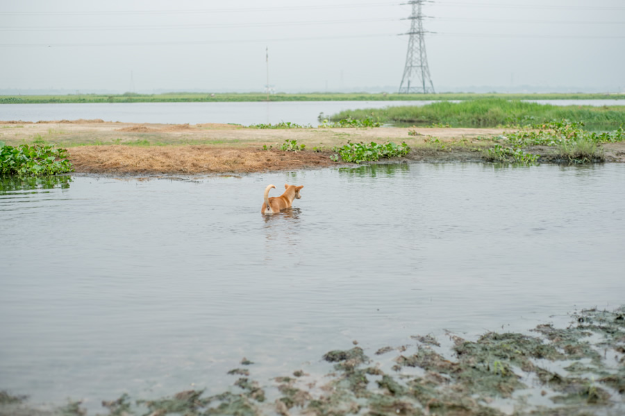 Riverine - Photo Story By Bangladesh Photographer Tariq Adnan