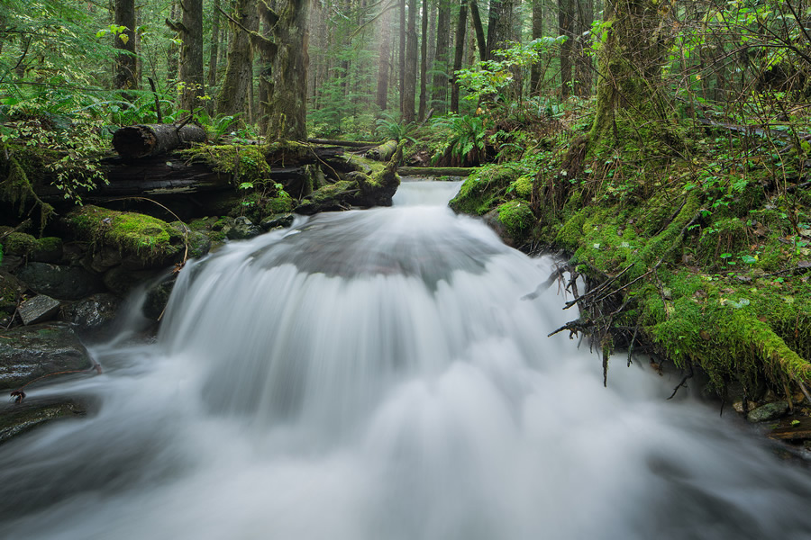 Secrets of Shooting Beautiful Landscapes