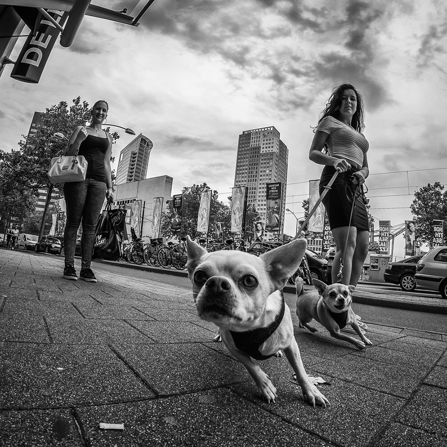 Excellent Extreme Wide Angle Street Photography Willem Jonkers