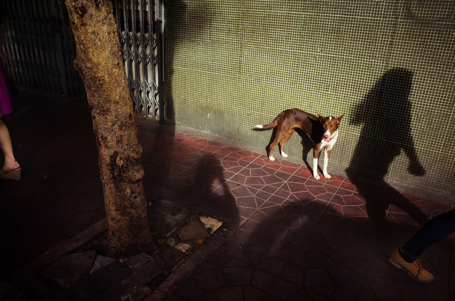 Setsiri Silapasuwanchai - Incredible Street Photographer From Thailand