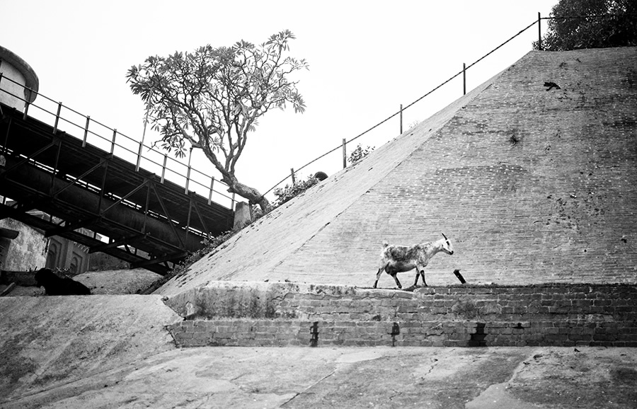 The Sacred City, Varanasi - Photo Series By Indranil Aditya