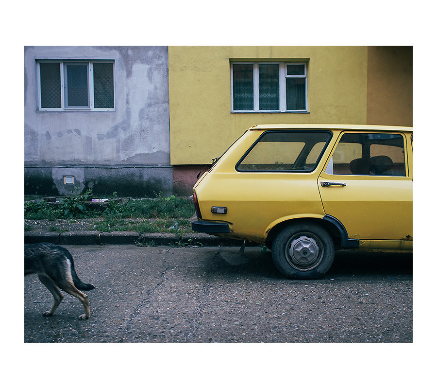 Hajdu Tamás - This Romanian Is A Vet Who Finds Such High Art In His Daily Mundane Life