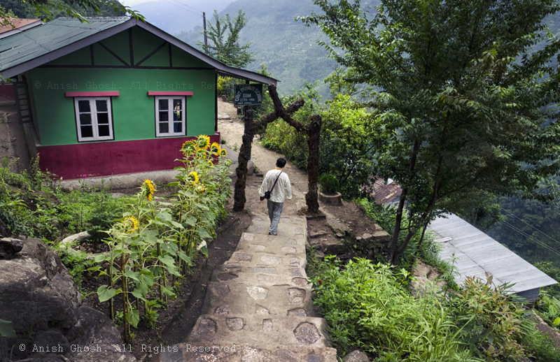 Those Were The Best Days Of My Life - Photo Series By Anish Ghosh