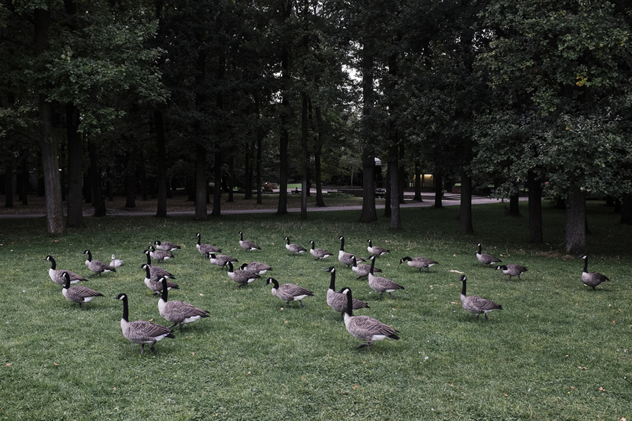 Sylvain Biard - Street Photographer From Paris Shows Us Why Photography Is A Never Boring Thing For Him