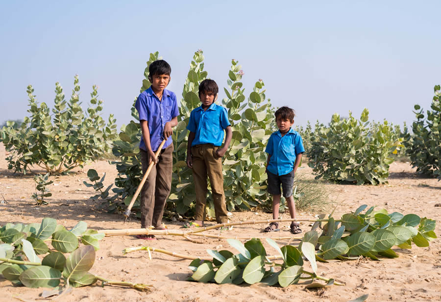 Agent For Change - Photo Series By Abhinav Kakkar