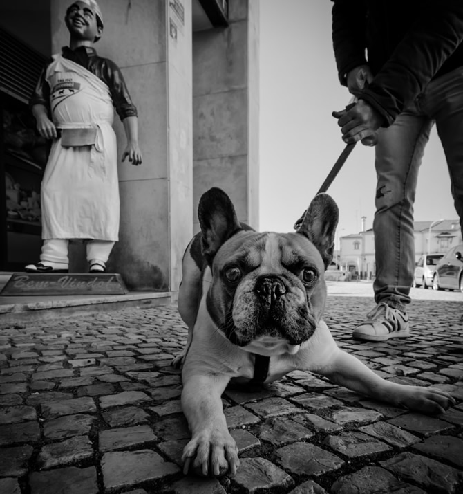 Vasco Trancoso - Portuguese Street Photographer