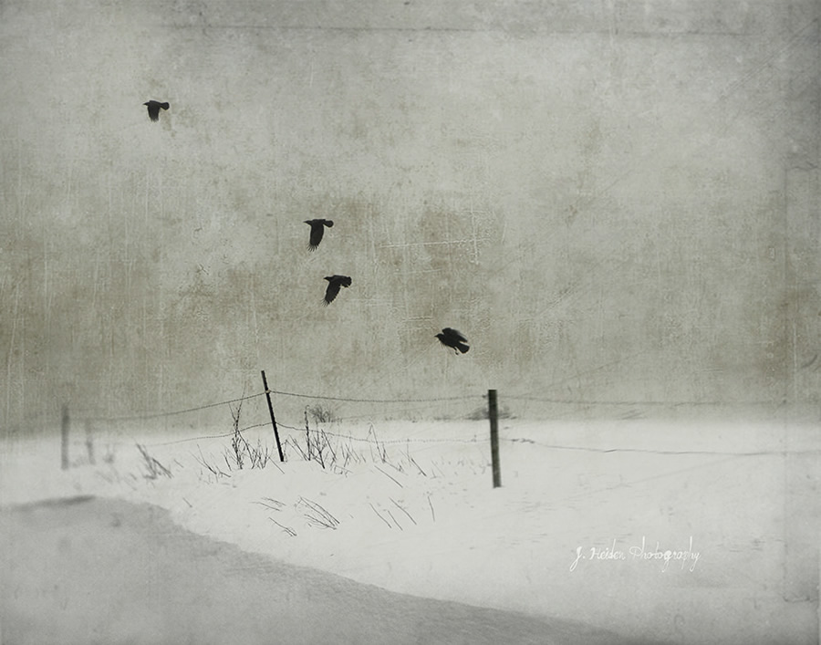 Jamie Heiden - Artistic Photography 