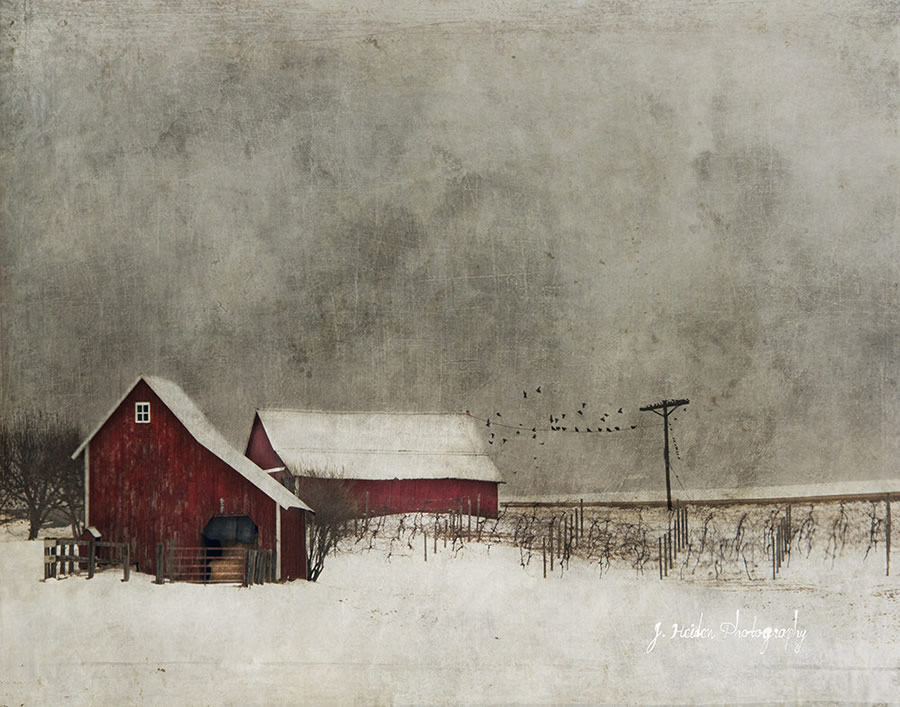 Jamie Heiden - Artistic Photography 