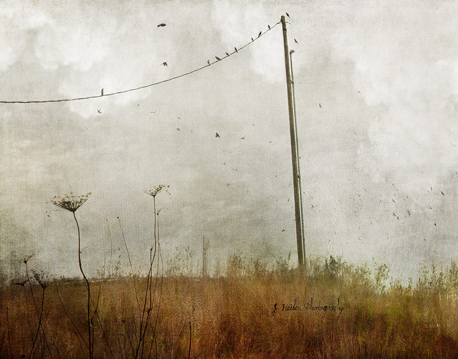 Jamie Heiden - Artistic Photography 