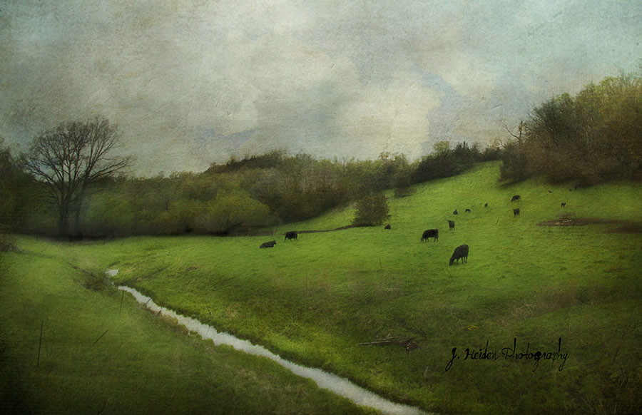 Jamie Heiden - Artistic Photography 