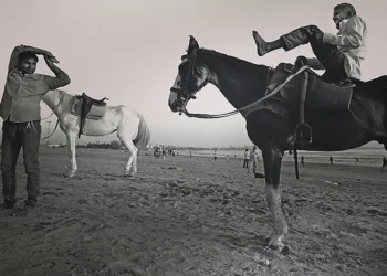 man standing beside white horse, elder riding dark horse on sand