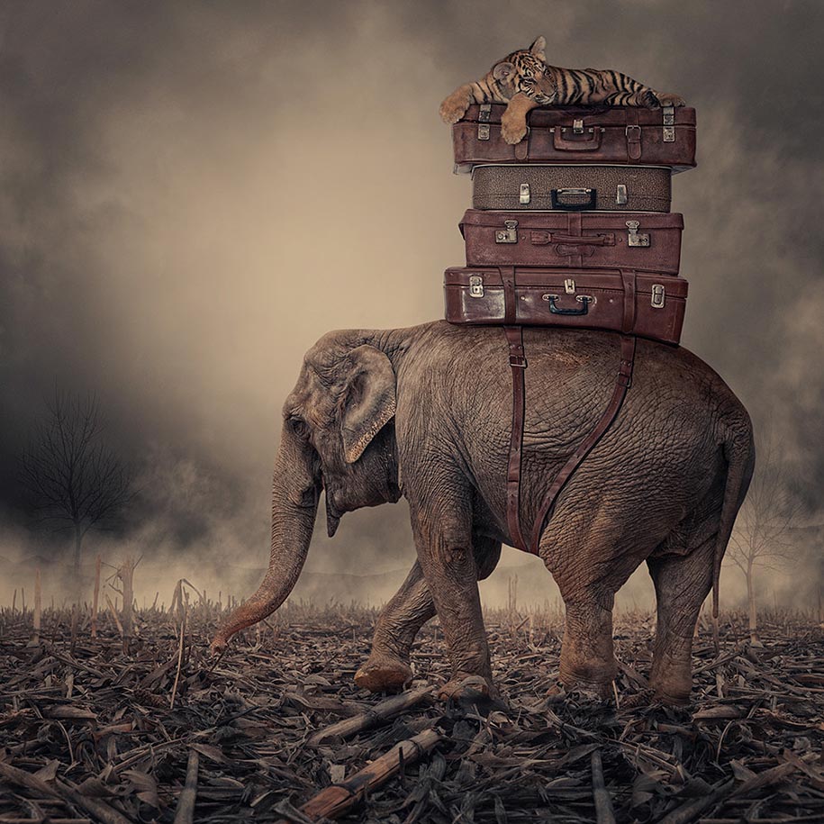 photography_photo_manipulations_by_caras_ionut_05.jpg