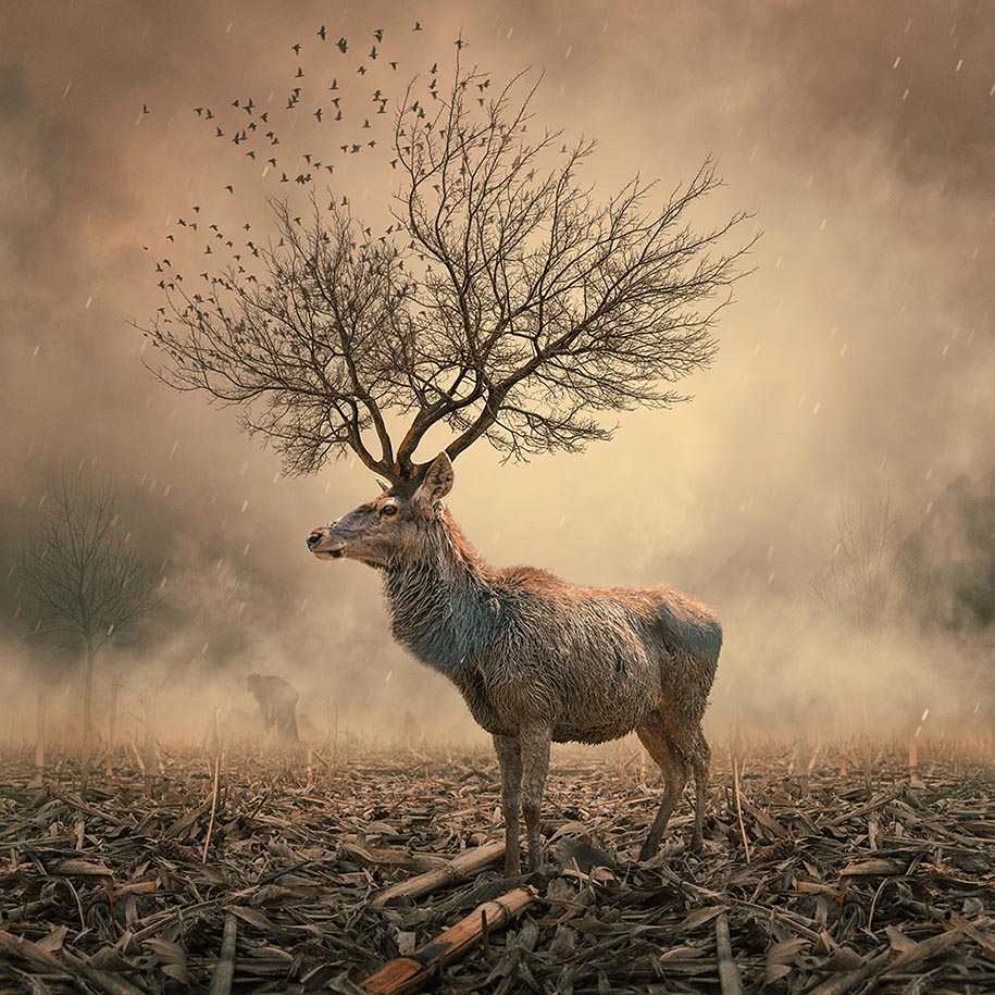 Mind-Blowing Photo Manipulations By Digital Artist Caras Ionut