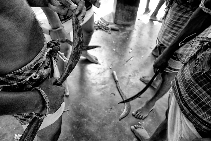 The Faith of Life - Photo Series About Gajan Festival in West Bengal By Avishek Das