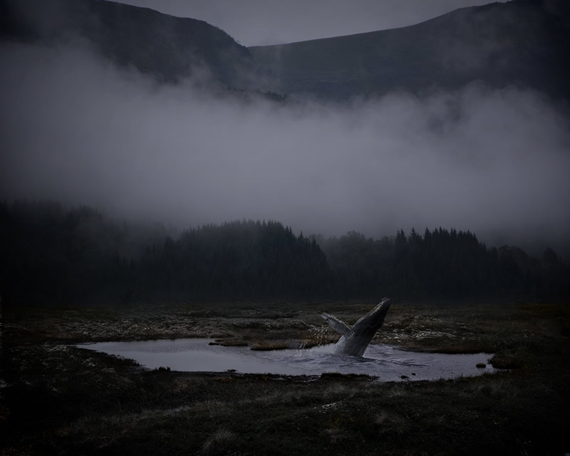 Bjorg-Elise Tuppen Fine Art Landscape Photography from Norway