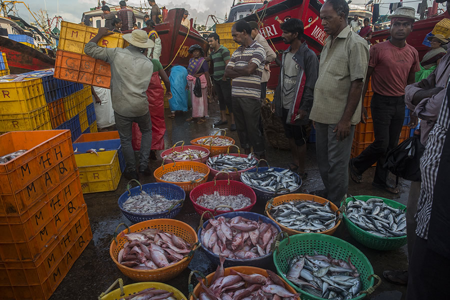 Safe Harbour: Coastal Fishing In Karnataka - Photo Story By Lopamudra Talukdar