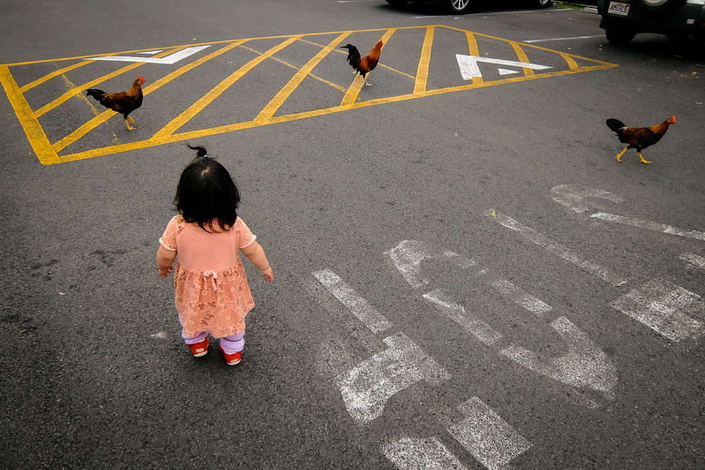 Shin Noguchi From Japan Shoots The Invisible Elements In Street