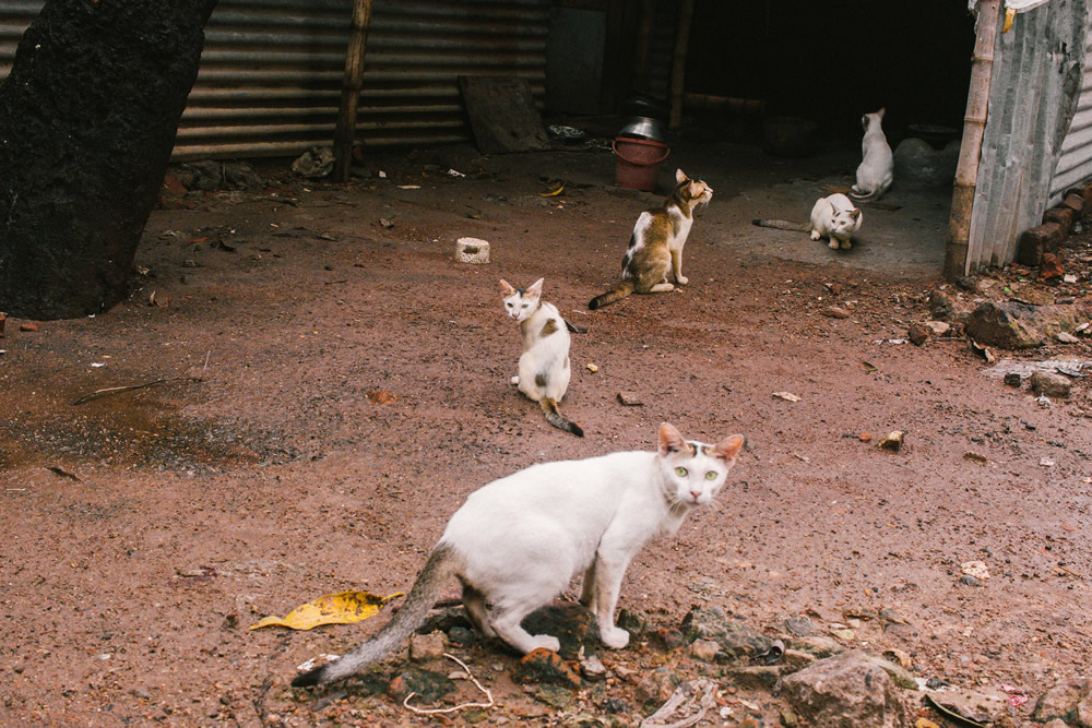 Md.Enamul Kabir - This Bangladeshi Photographer Takes You Deep Into Street Photography