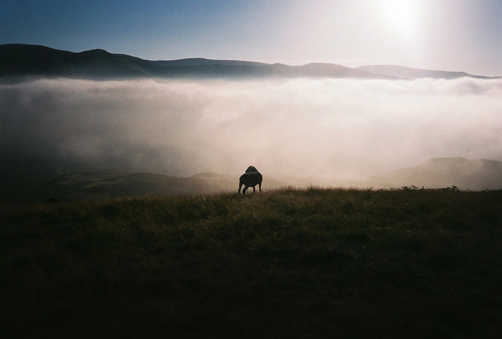 Paul Bailey Photography - Film Photos of beautiful Iceland