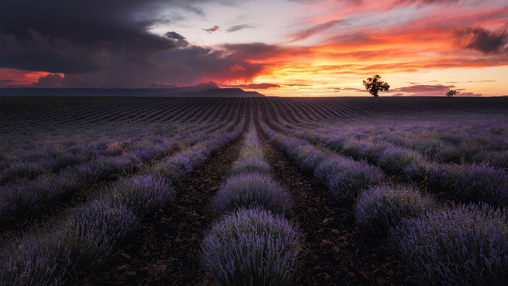 David Bouscarle - French Landscape and Nature Photographer