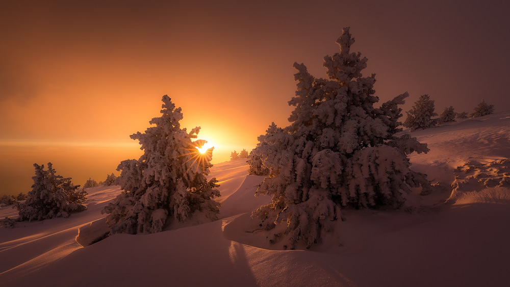 David Bouscarle - French Landscape and Nature Photographer