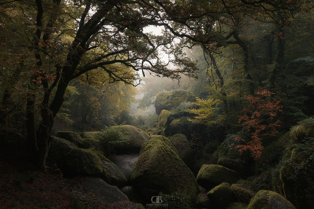 David Bouscarle - French Landscape and Nature Photographer