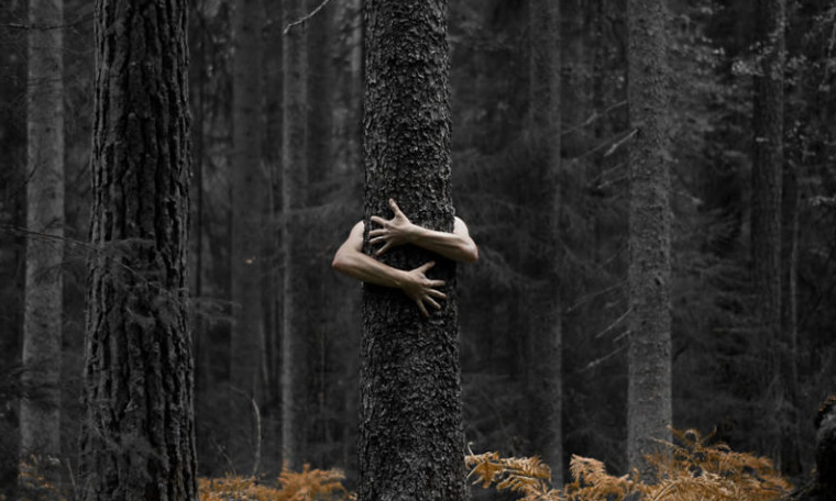 How To Photograph Your Last Nights Dream Discloses Monika Gawinowska From Poland