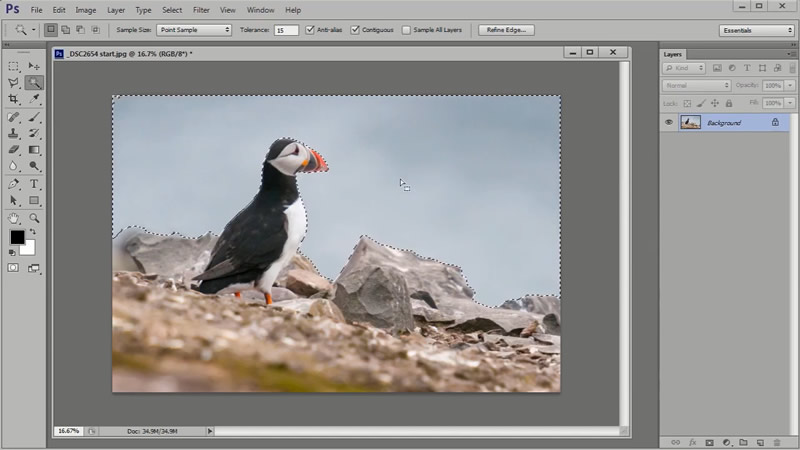 Photoshop Video Tutorial - How To Recompose And Sharpen Images For Frame-Filling Results